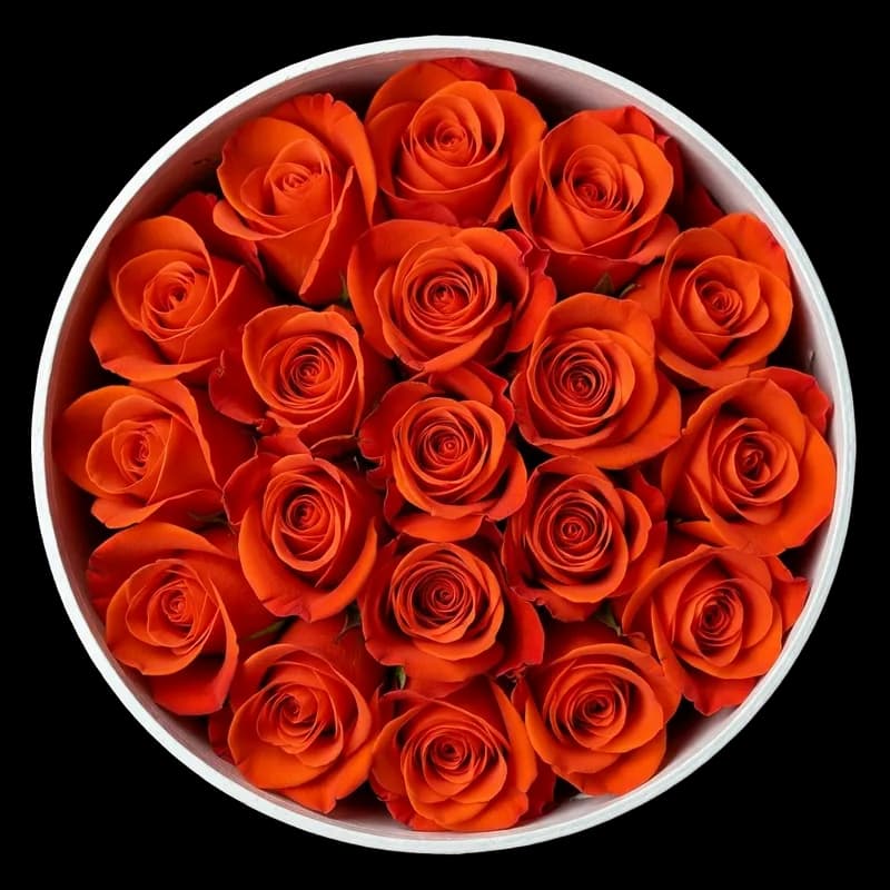 Rosas Salmón